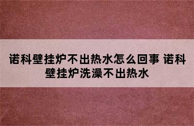 诺科壁挂炉不出热水怎么回事 诺科壁挂炉洗澡不出热水